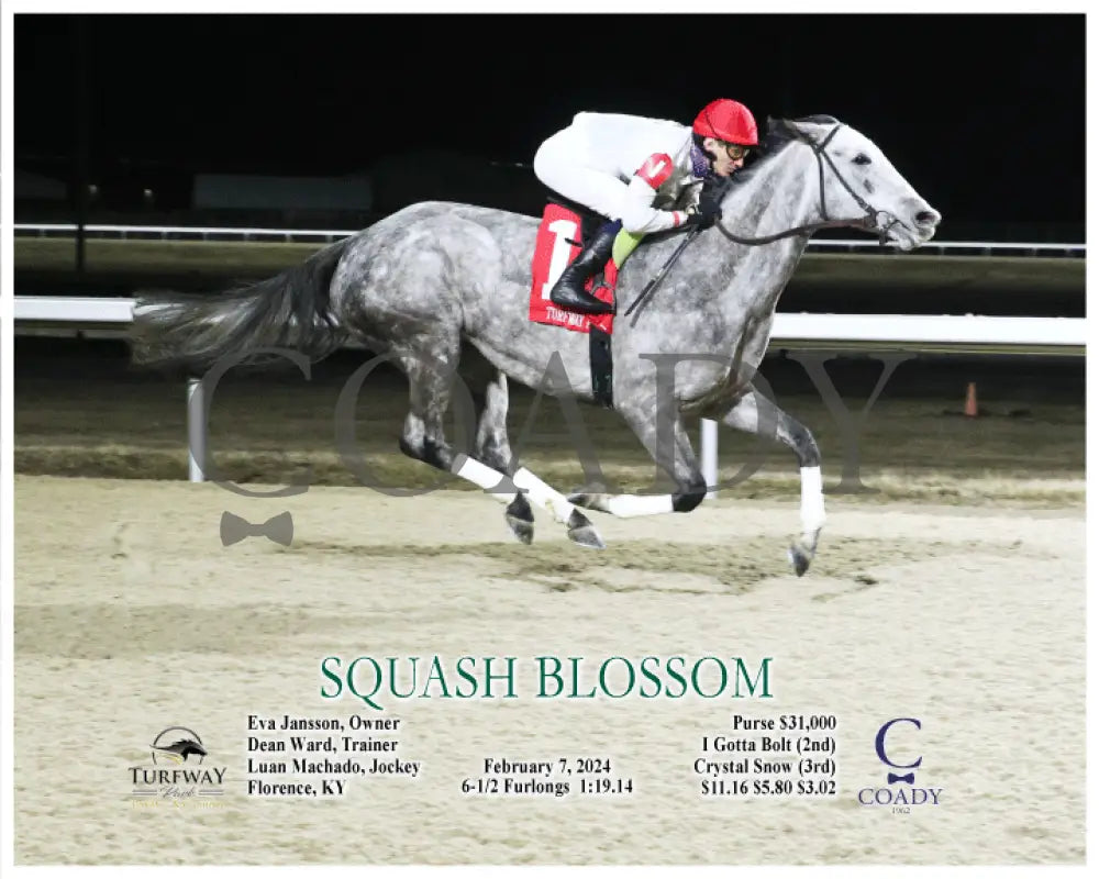 Squash Blossom - 02-07-24 R08 Turfway Park