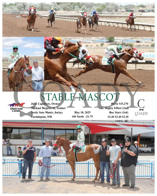 STABLE MASCOT - 05-18-25 - R01 - SRP SunRay Park