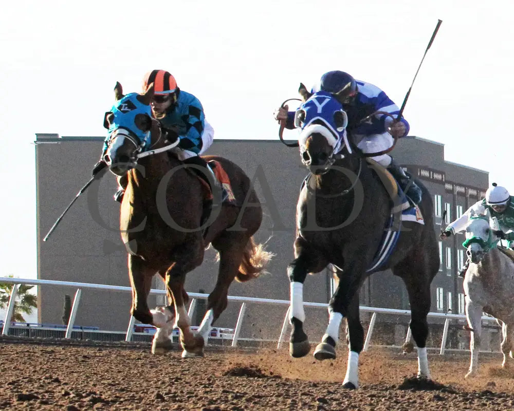 Stand Up Guy - Corralito Steak House Stakes 01-16-25 R08 Sunland Park Under Rail Turfway
