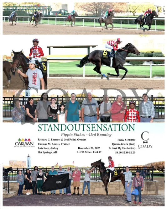 STANDOUTSENSATION - Pippin Stakes - 43rd Running - 12-26-25 - R08 - OP - Coady Media - Kurtis Coady Photography
