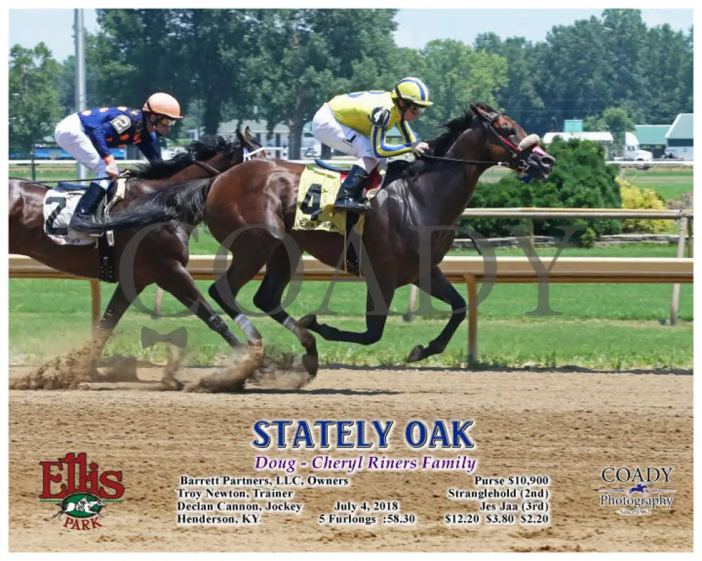 Stately Oak - 070418 Race 02 Elp Action Ellis Park