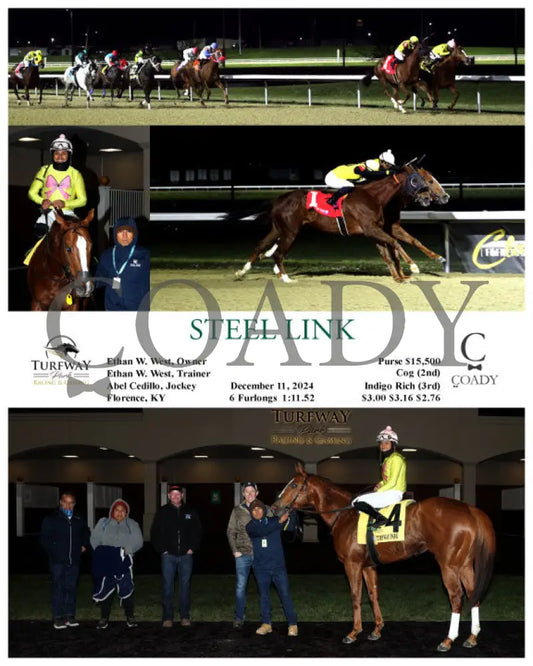 Steel Link - 12-11-24 R02 Tp Turfway Park