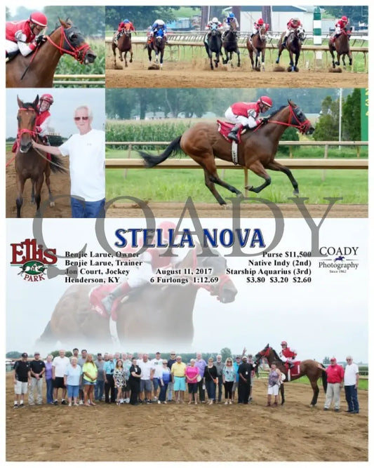 Stella Nova - 081117 Race 04 Elp Ellis Park