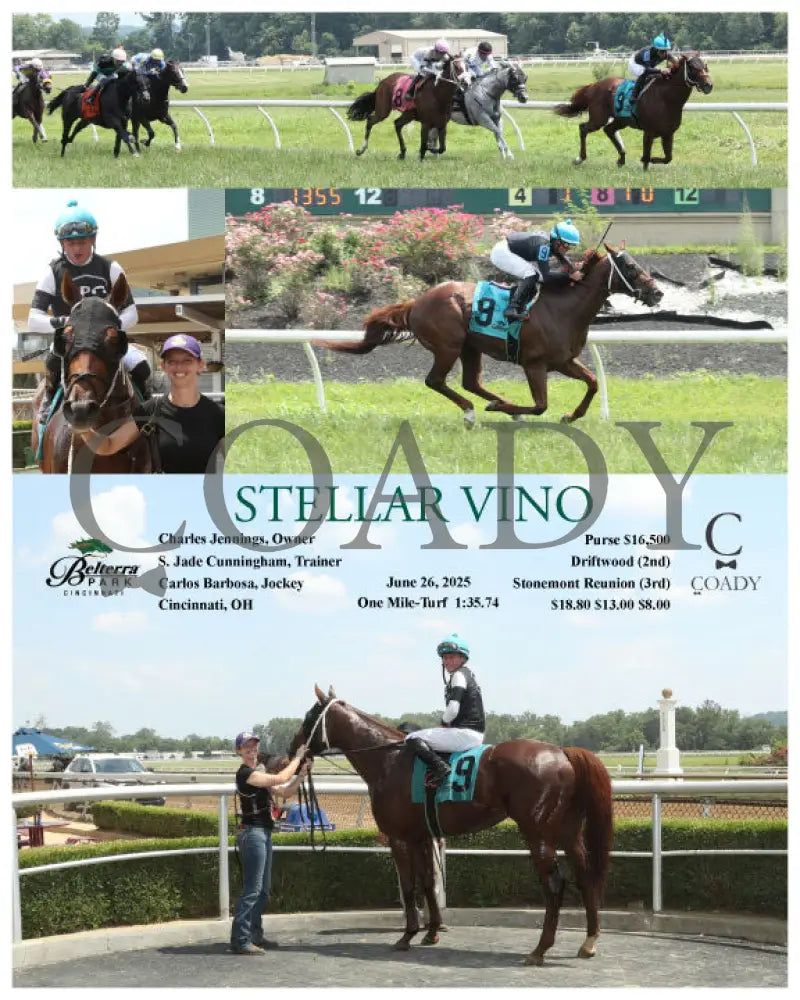 STELLAR VINO - 06-26-25 - R08 - BTP Indiana Grand