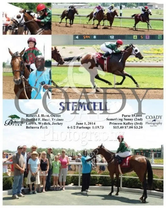 Stemcell - 060114 Race 02 Btp Belterra Park