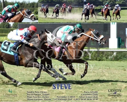 Steve - 110213 Race 05 Crc Calder Course