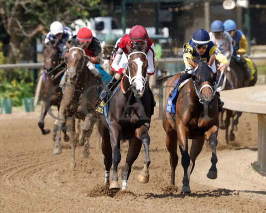 Stilettos - The Ellis Park Debutante 7Th Running 08-11-24 R08 Elp Turn 01