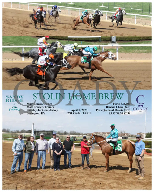 Stolin Home Brew - 04-05-23 R04 Srm Photograph