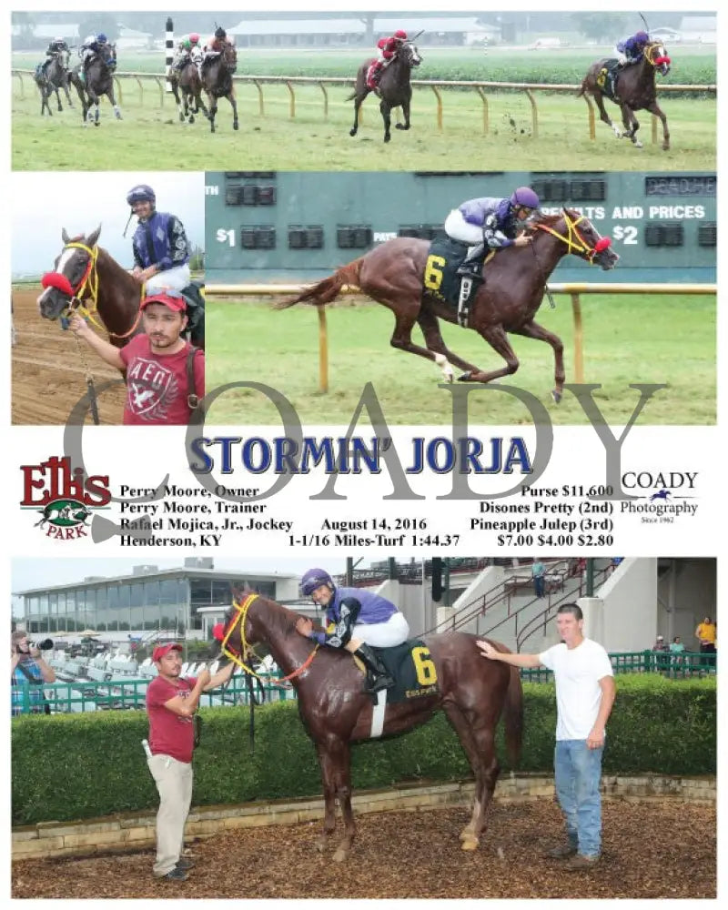 Stormin’ Jorja - 081416 Race 01 Elp Ellis Park