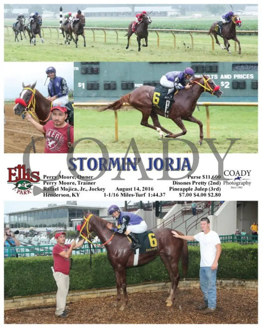 Stormin’ Jorja - 081416 Race 01 Elp Ellis Park