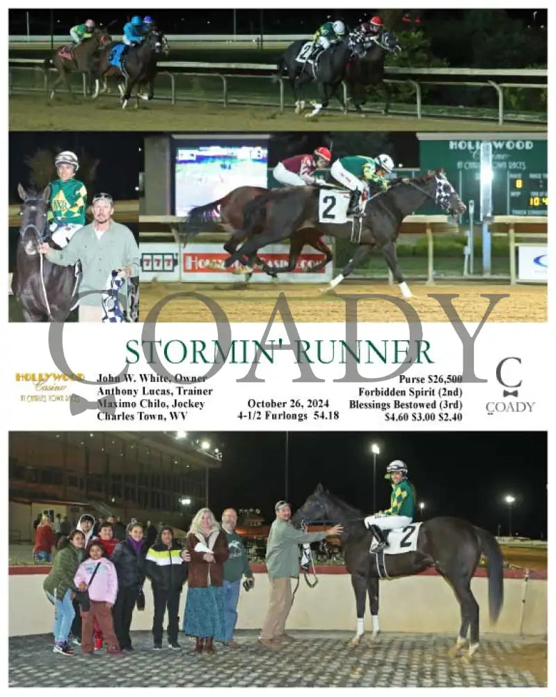 Stormin’ Runner - 10-26-24 R08 Ct Hollywood Casino At Charles Town Races