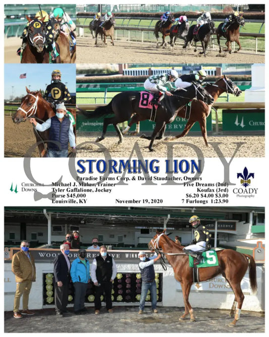 Storming Lion - 11-19-20 R06 Cd Churchill Downs