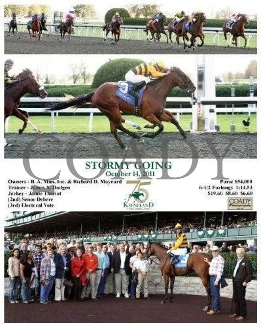 Stormy Going - 101411 Keeneland