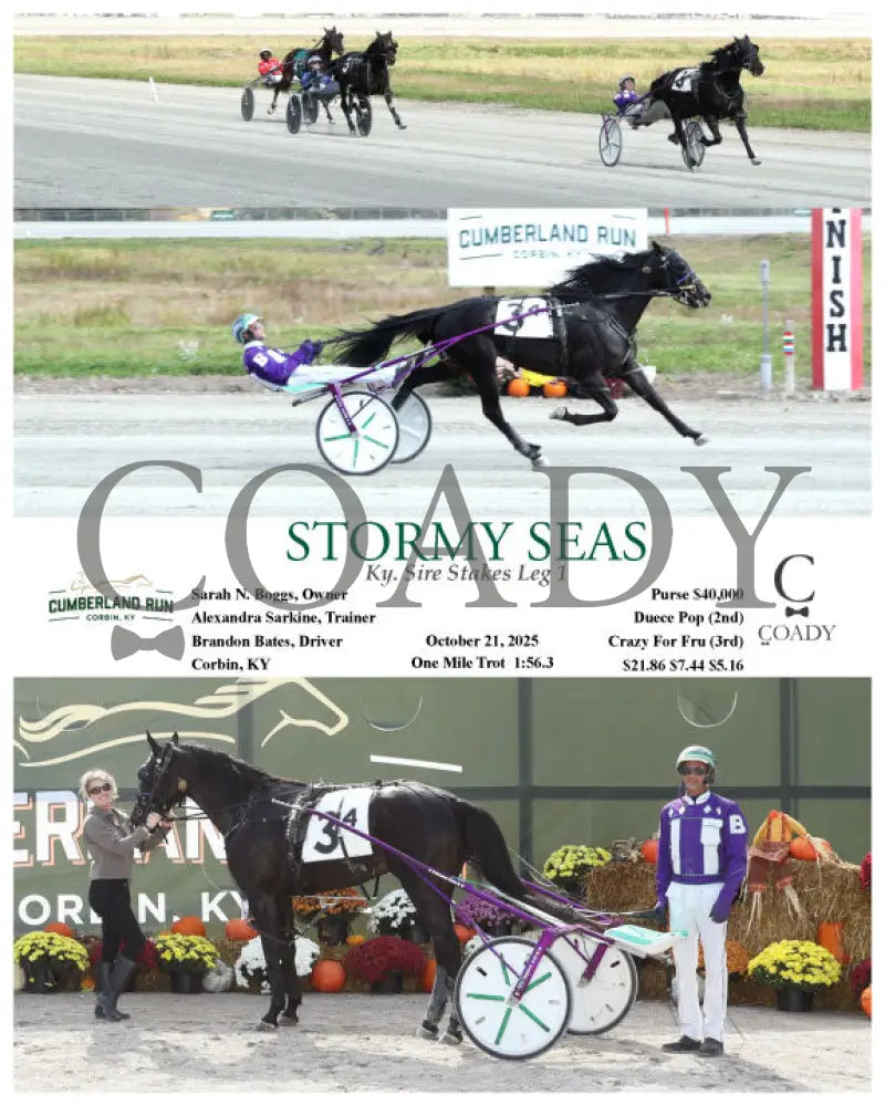 STORMY SEAS - Ky. Sire Stakes Leg 1 - 10-21-25 - R04 - CMR Presque Isle Downs