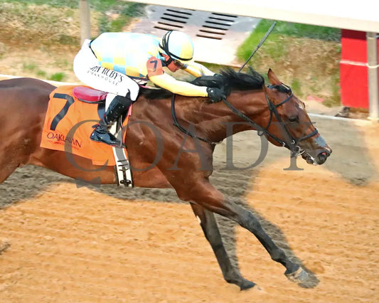 STRATEGIC RISK - Smarty Jones Stakes - 01-03-26 - R10 - OP - Aerial Finish 02 - Coady Media - Kurtis Coady Photography