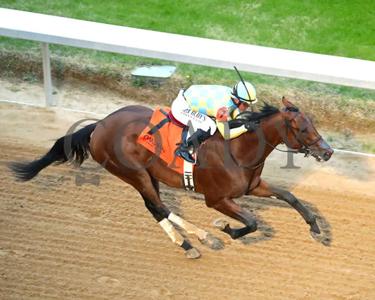 STRATEGIC RISK - Smarty Jones Stakes - 01-03-26 - R10 - OP - Aerial Finish 01 - Coady Media - Kurtis Coady Photography