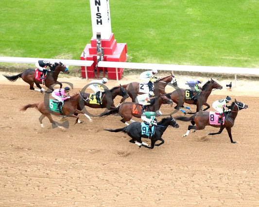 STRATEGIC RISK - Smarty Jones Stakes - 01-03-26 - R10 - OP - Aerial First Pass 01 - Coady Media - Kurtis Coady Photography