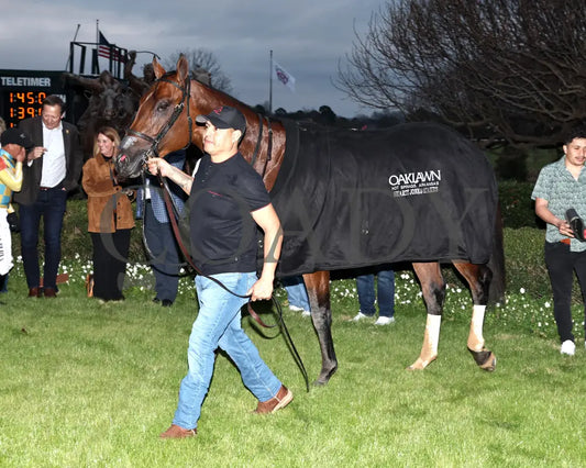 STRATEGIC RISK - Smarty Jones Stakes - 01-03-26 - R10 - OP - Blanket 01 - Coady Media - Kurtis Coady Photography