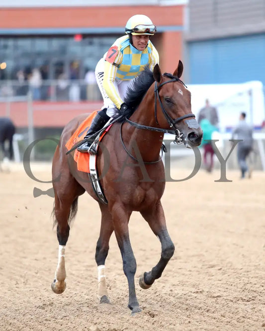 STRATEGIC RISK - Smarty Jones Stakes - 01-03-26 - R10 - OP - Come Back 04 - Coady Media - Kurtis Coady Photography