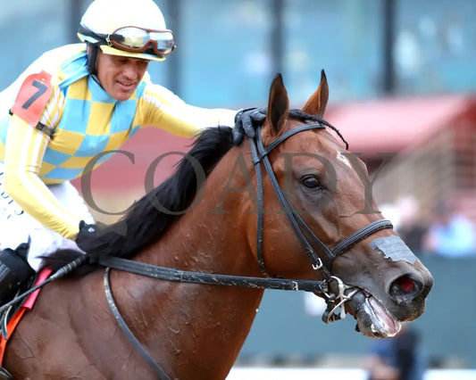 STRATEGIC RISK - Smarty Jones Stakes - 01-03-26 - R10 - OP - Come Back 05 - Coady Media - Kurtis Coady Photography
