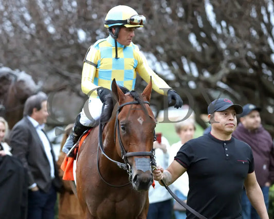 STRATEGIC RISK - Smarty Jones Stakes - 01-03-26 - R10 - OP - Come Back 06 - Coady Media - Kurtis Coady Photography