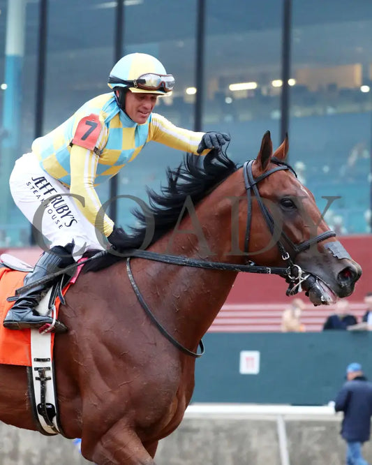STRATEGIC RISK - Smarty Jones Stakes - 01-03-26 - R10 - OP - Come Back 07 - Coady Media - Kurtis Coady Photography