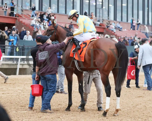 STRATEGIC RISK - Smarty Jones Stakes - 01-03-26 - R10 - OP - Come Back 08 - Coady Media - Kurtis Coady Photography