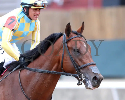 STRATEGIC RISK - Smarty Jones Stakes - 01-03-26 - R10 - OP - Come Back 03 - Coady Media - Kurtis Coady Photography