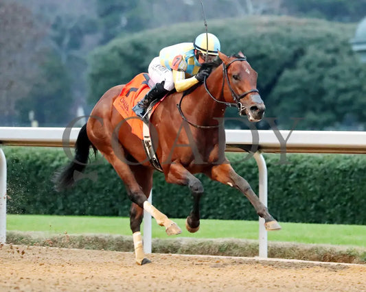 STRATEGIC RISK - Smarty Jones Stakes - 01-03-26 - R10 - OP - Finish 02 - Coady Media - Kurtis Coady Photography
