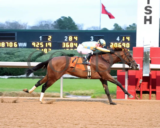 STRATEGIC RISK - Smarty Jones Stakes - 01-03-26 - R10 - OP - Finish 01 - Coady Media - Kurtis Coady Photography