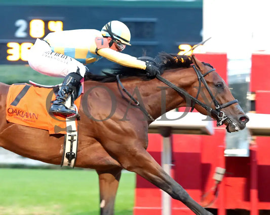 STRATEGIC RISK - Smarty Jones Stakes - 01-03-26 - R10 - OP - Finish 03 - Coady Media - Kurtis Coady Photography