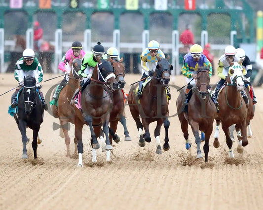 STRATEGIC RISK - Smarty Jones Stakes - 01-03-26 - R10 - OP - First Turn 02 - Coady Media - Kurtis Coady Photography