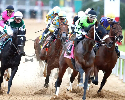 STRATEGIC RISK - Smarty Jones Stakes - 01-03-26 - R10 - OP - First Turn 01 - Coady Media - Kurtis Coady Photography