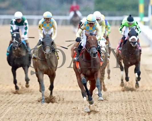 STRATEGIC RISK - Smarty Jones Stakes - 01-03-26 - R10 - OP - Gallop Out 02 - Coady Media - Kurtis Coady Photography