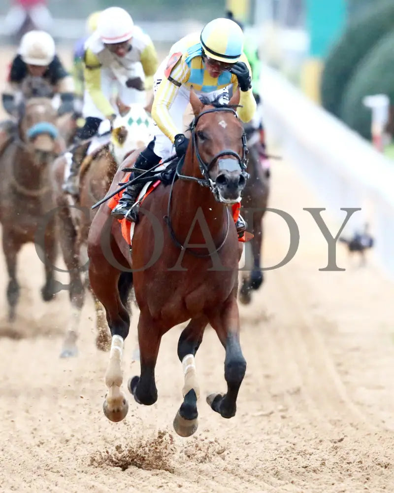 STRATEGIC RISK - Smarty Jones Stakes - 01-03-26 - R10 - OP - Gallop Out 01 - Coady Media - Kurtis Coady Photography