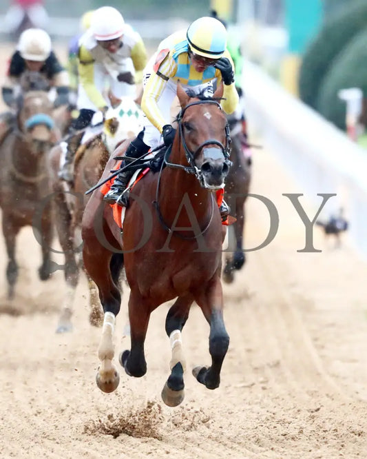 STRATEGIC RISK - Smarty Jones Stakes - 01-03-26 - R10 - OP - Gallop Out 01 - Coady Media - Kurtis Coady Photography