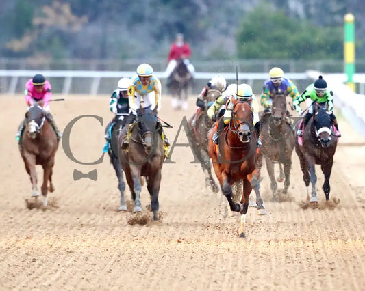 STRATEGIC RISK - Smarty Jones Stakes - 01-03-26 - R10 - OP - Head On 01 - Coady Media - Kurtis Coady Photography