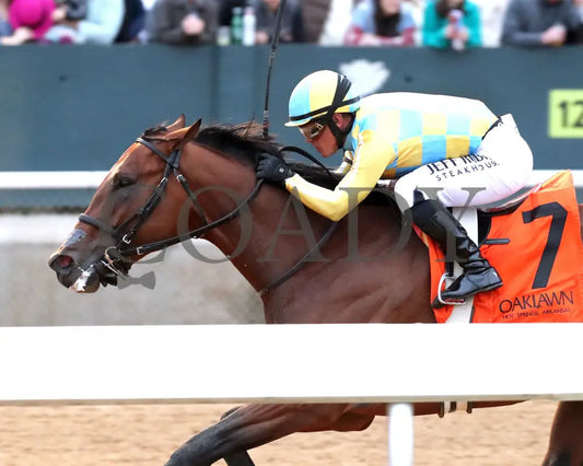 STRATEGIC RISK - Smarty Jones Stakes - 01-03-26 - R10 - OP - Inside Finish 02 - Coady Media - Kurtis Coady Photography