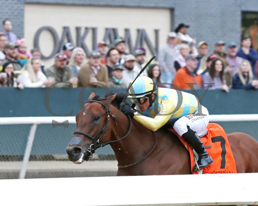 STRATEGIC RISK - Smarty Jones Stakes - 01-03-26 - R10 - OP - Inside Finish 04 - Coady Media - Kurtis Coady Photography