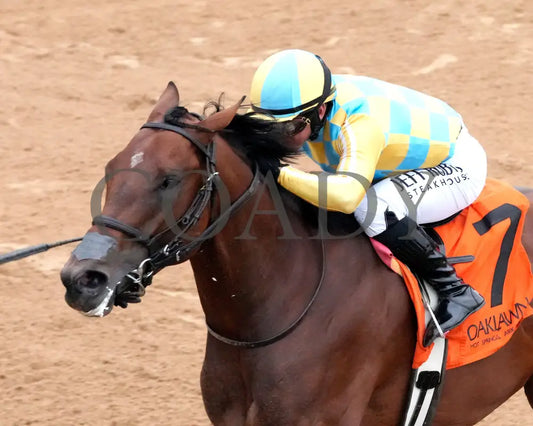 STRATEGIC RISK - Smarty Jones Stakes - 01-03-26 - R10 - OP - Inside Finish 01 - Coady Media - Kurtis Coady Photography