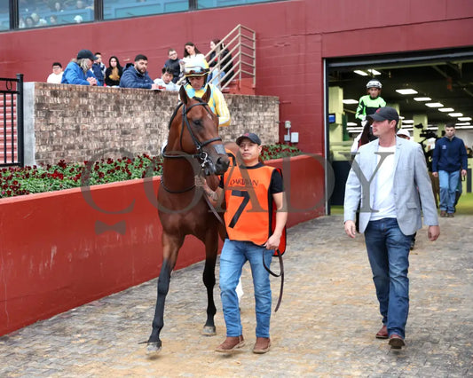 STRATEGIC RISK - Smarty Jones Stakes - 01-03-26 - R10 - OP - Post Parade 02 - Coady Media - Kurtis Coady Photography