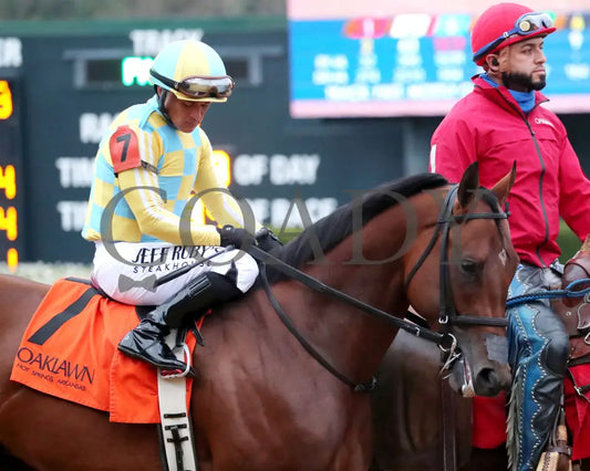STRATEGIC RISK - Smarty Jones Stakes - 01-03-26 - R10 - OP - Post Parade 04 - Coady Media - Kurtis Coady Photography