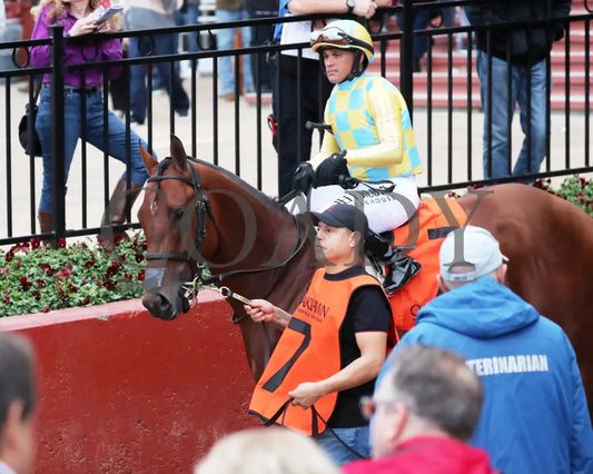 STRATEGIC RISK - Smarty Jones Stakes - 01-03-26 - R10 - OP - Post Parade 05 - Coady Media - Kurtis Coady Photography