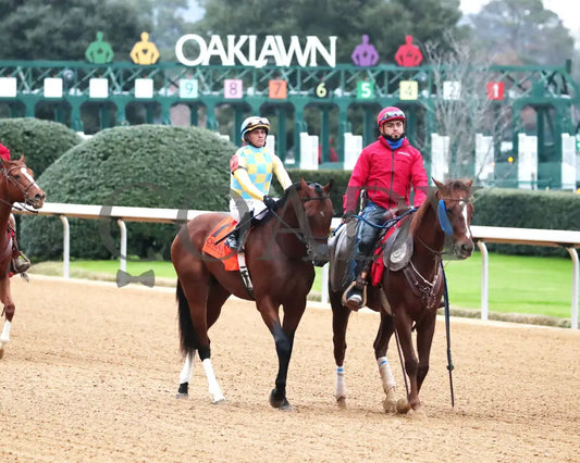 STRATEGIC RISK - Smarty Jones Stakes - 01-03-26 - R10 - OP - Post Parade 03 - Coady Media - Kurtis Coady Photography
