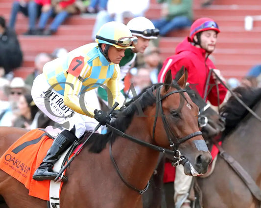 STRATEGIC RISK - Smarty Jones Stakes - 01-03-26 - R10 - OP - Post Parade 01 - Coady Media - Kurtis Coady Photography