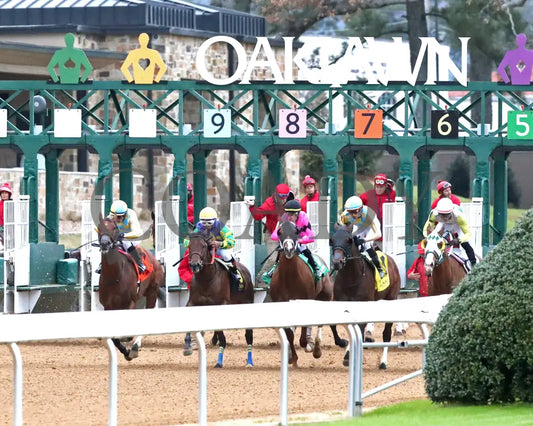 STRATEGIC RISK - Smarty Jones Stakes - 01-03-26 - R10 - OP - Start 02 - Coady Media - Kurtis Coady Photography