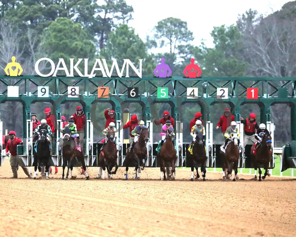 STRATEGIC RISK - Smarty Jones Stakes - 01-03-26 - R10 - OP - Start 03 - Coady Media - Kurtis Coady Photography