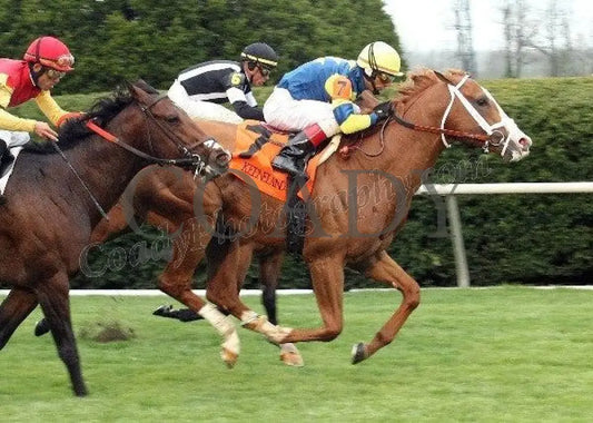 Stratford Hill - Finish The Shakertown Gr Iii Keeneland