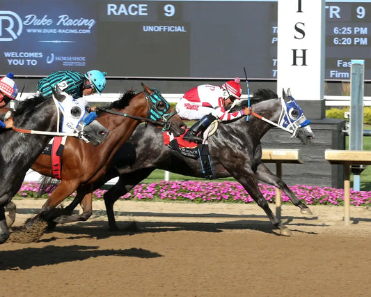 STREAKINDOWNTHEBEACH - Air Born Leader Overnight Stakes - 08-07-25 - R09 - Horseshoe Indiana - Finish 01 - Sammantha