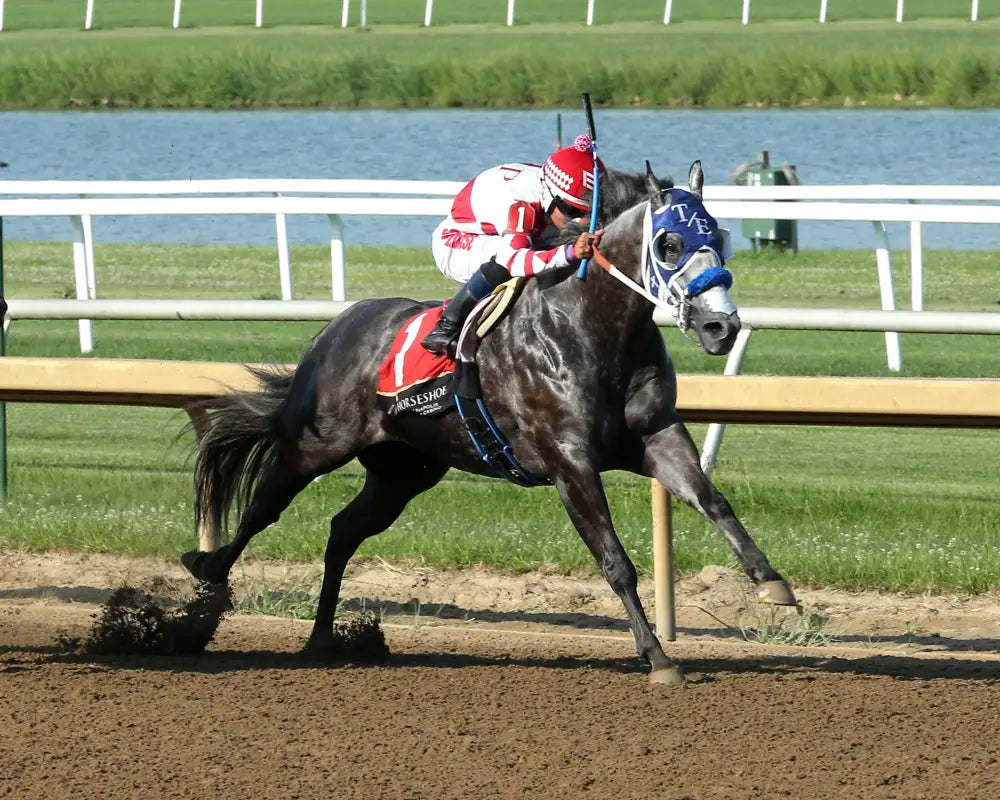 STREAKINDOWNTHEBEACH - Air Born Leader Overnight Stakes - 08-07-25 - R09 - Horseshoe Indiana - Finish 02 - Sammantha